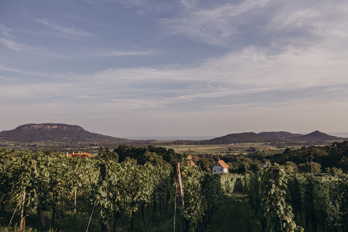 bajnoczy-pince heim-alexandra 20180808