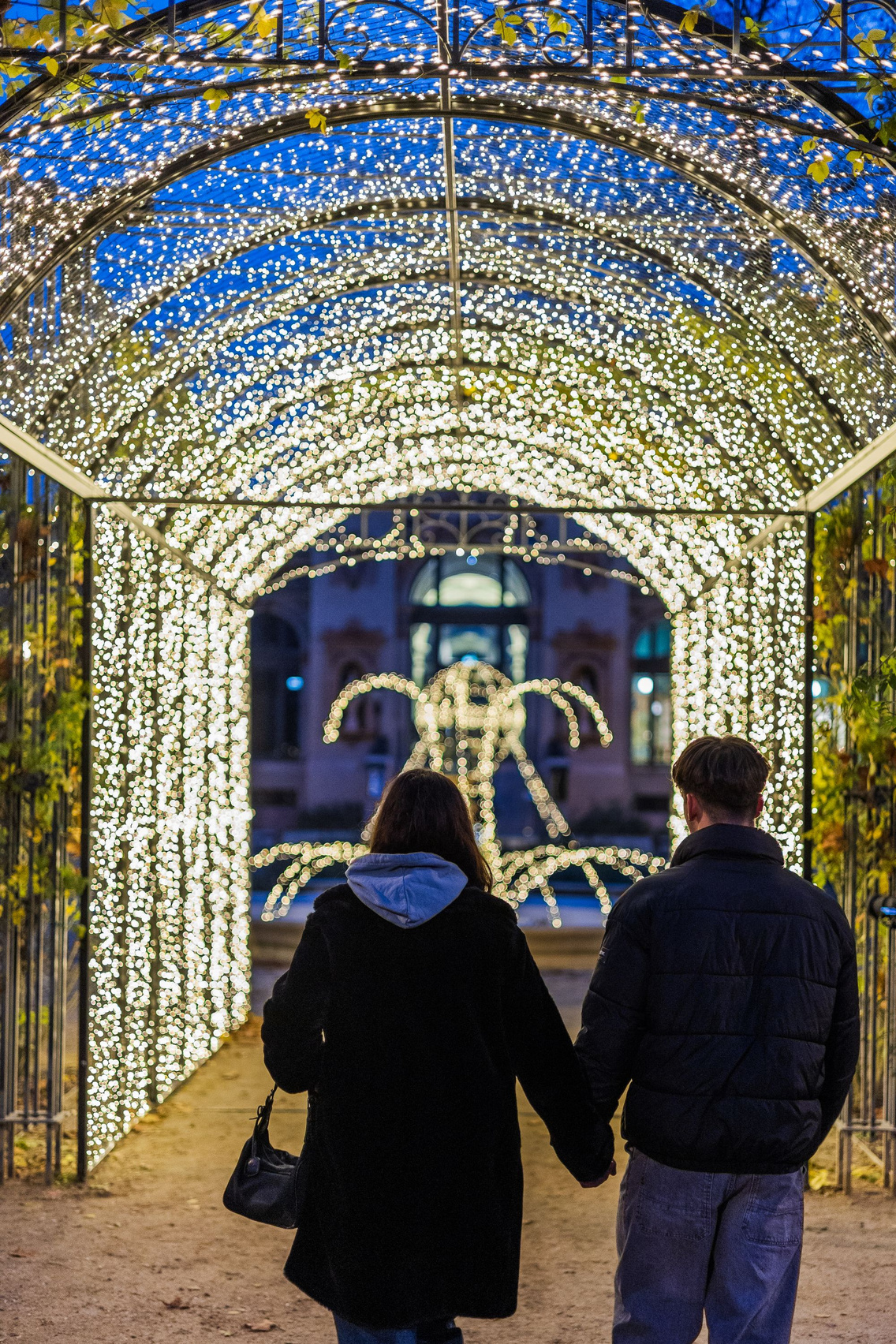 Adventi-fényösvént-a-Rózsakertben