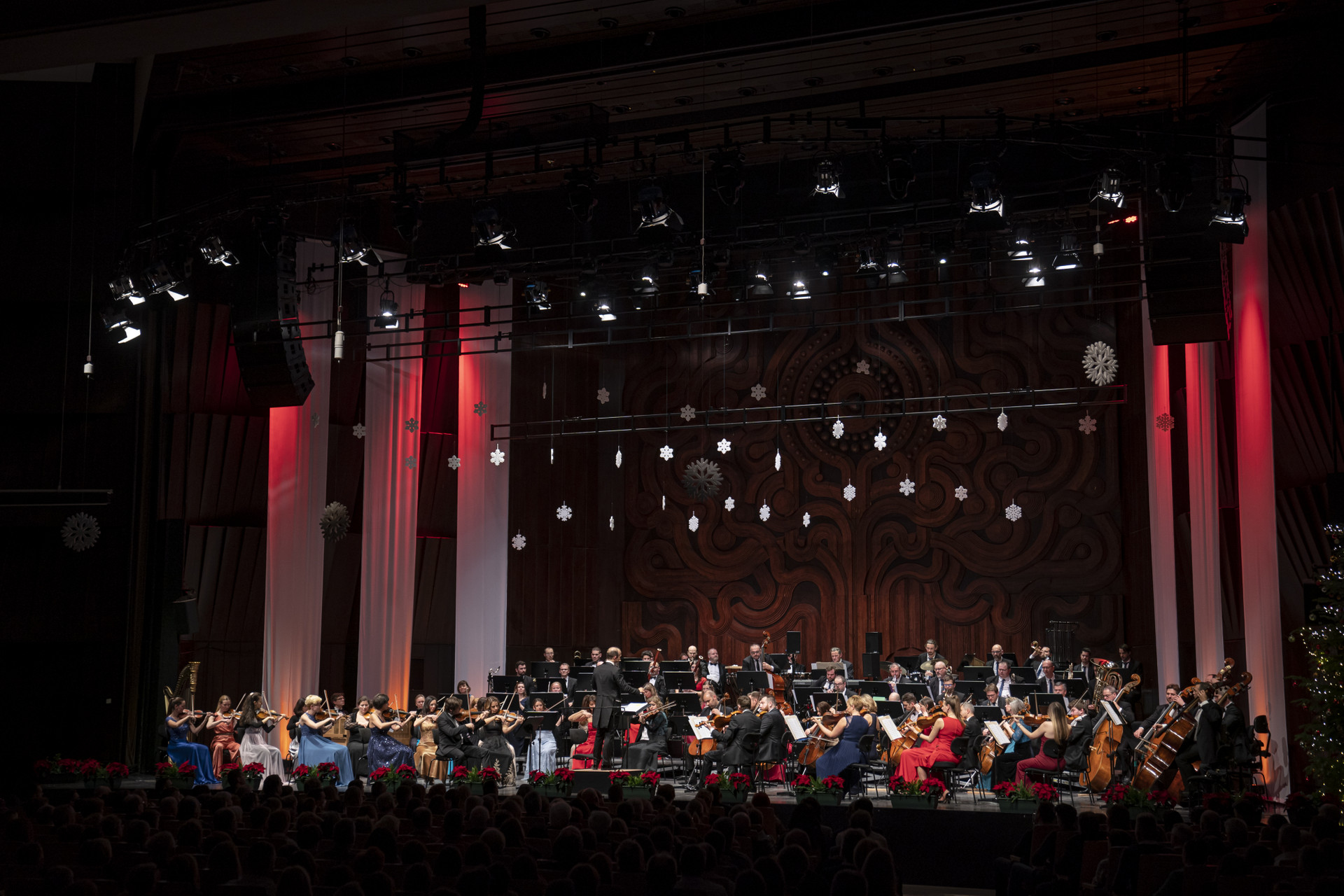 20221223 ODZ BKK-0312 (1)