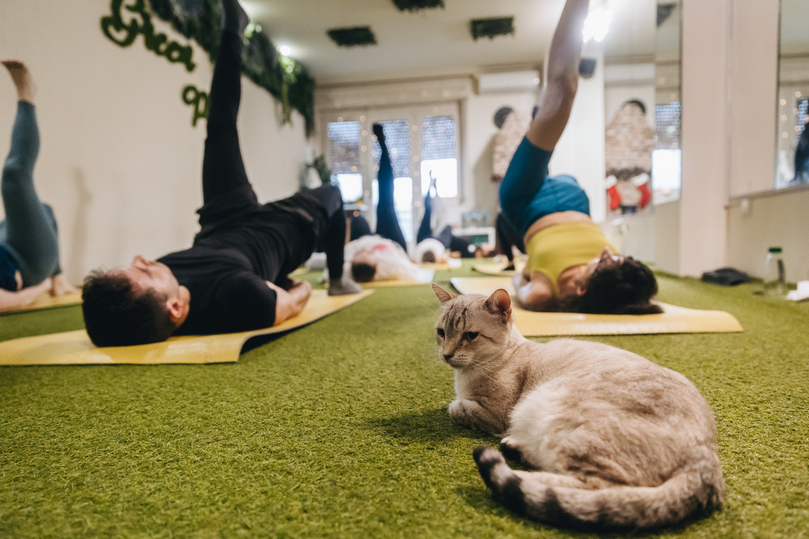 kittyyoga 250118 majorkata-30