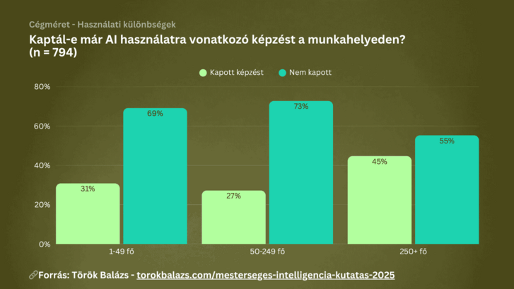 CÉGM 04 - [working] AI-használati szokások 2025-ben Magyarország