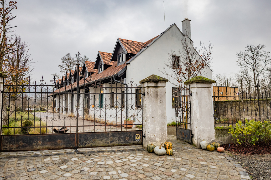 Papi 251204 Szabó Gábor 002