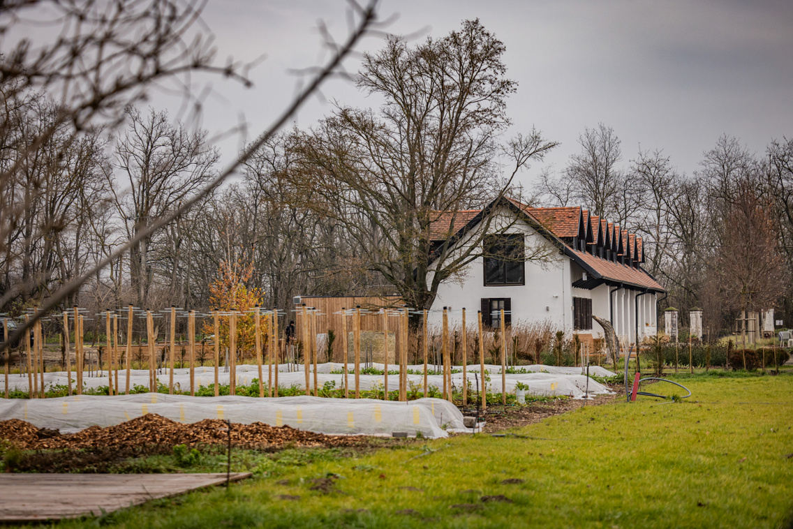 Papi 251204 Szabó Gábor 037