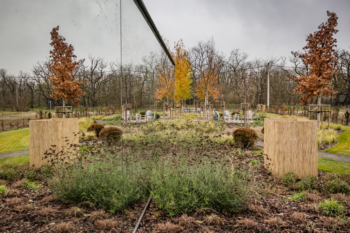 Papi 251204 Szabó Gábor 024