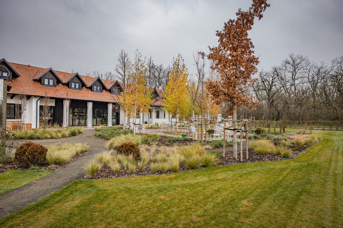 Papi 251204 Szabó Gábor 025