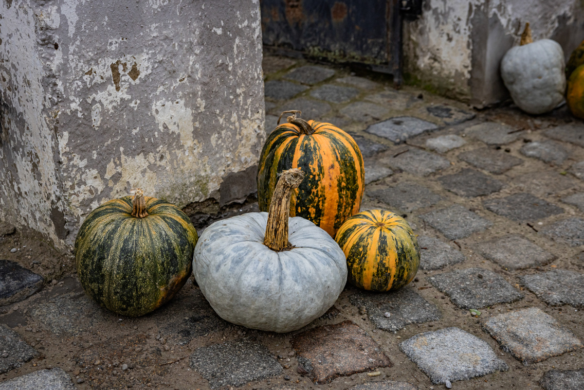 Papi 251204 Szabó Gábor 006