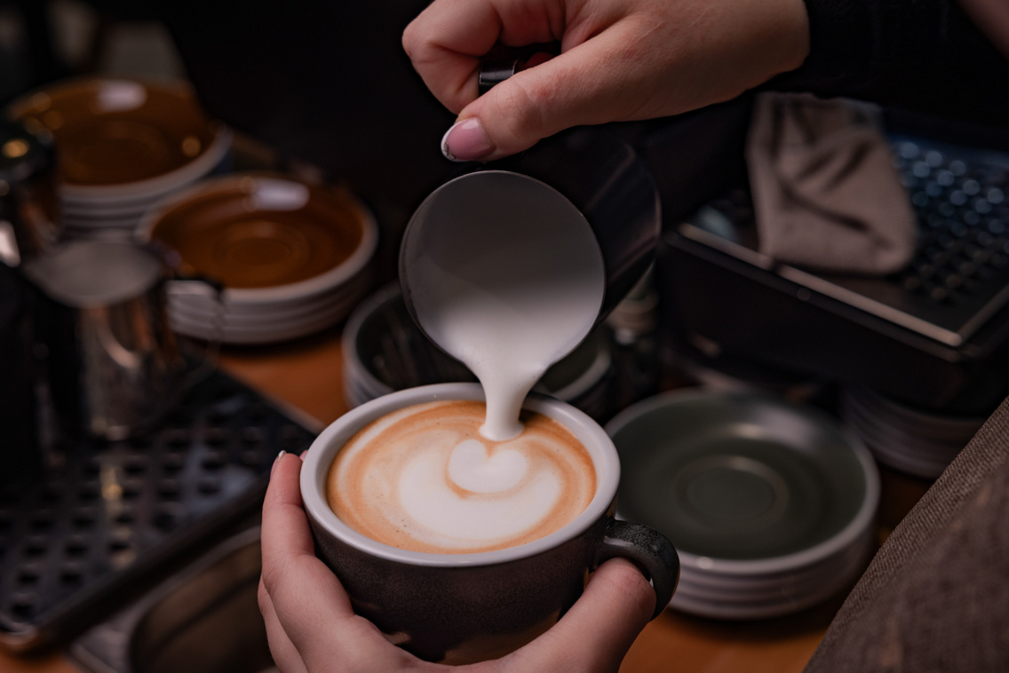 Pine 251208 Szabó Gábor 022