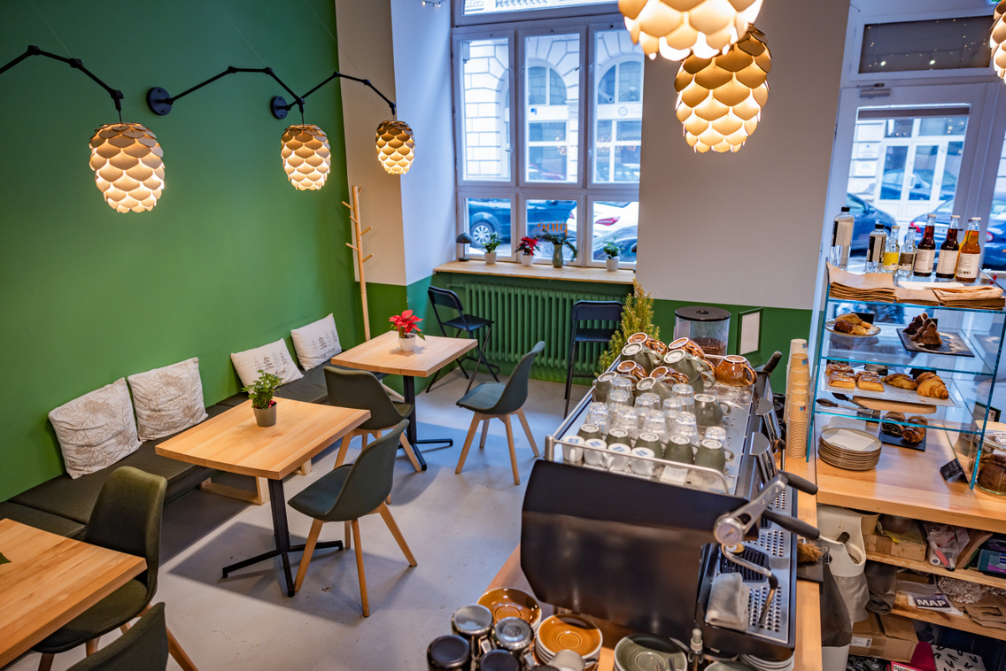 Pine 251208 Szabó Gábor 016