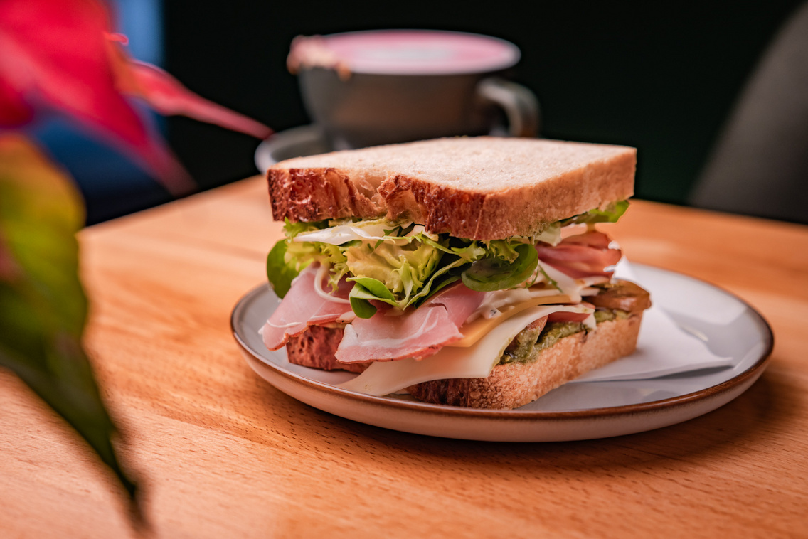 Pine 251208 Szabó Gábor 040