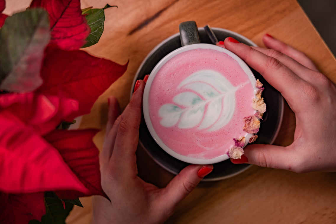 Pine 251208 Szabó Gábor 028