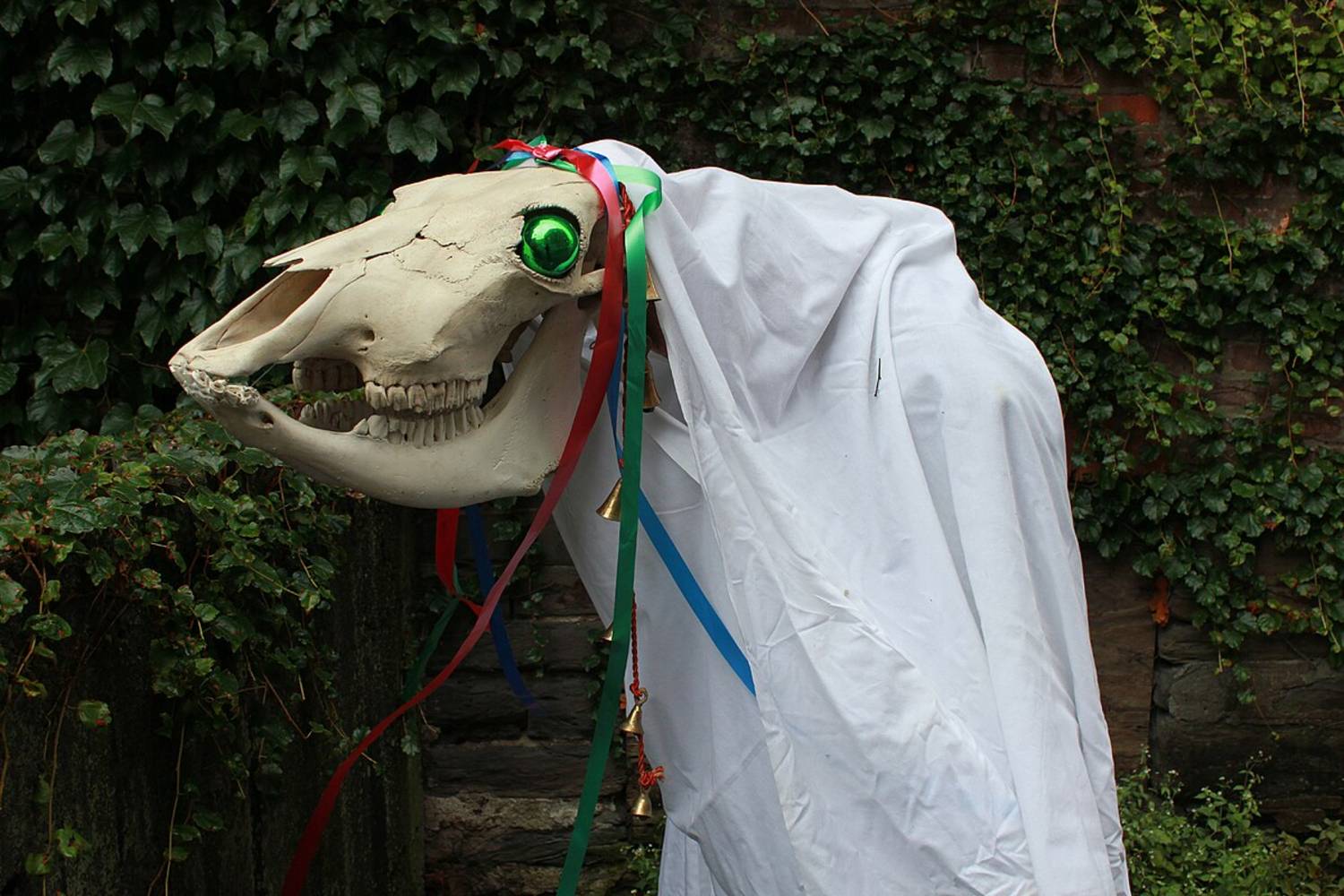 Mari Lwyd (wiki)