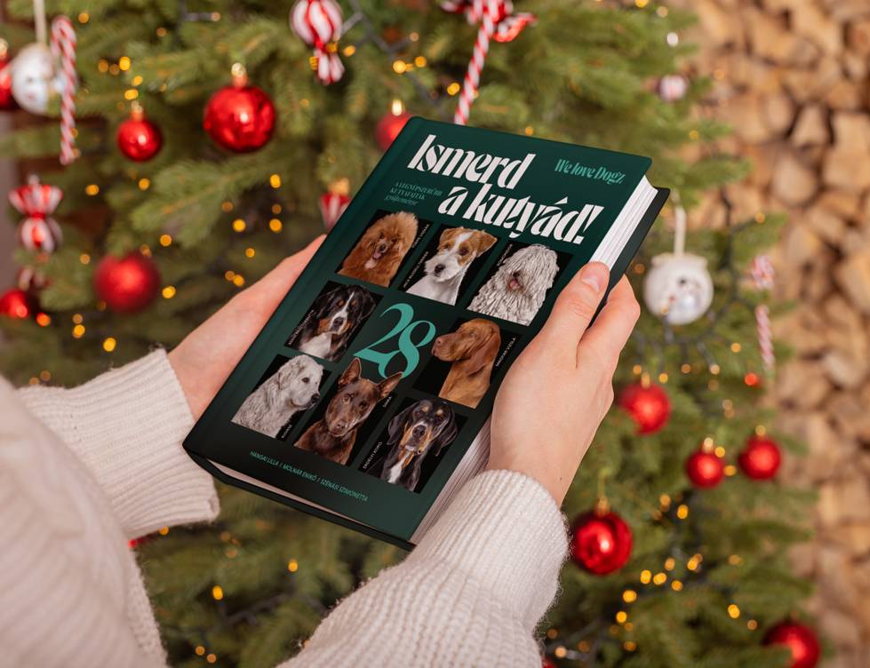 WLD Ismerd a kutyad mockup 2 shutterstock 2470610299(1)