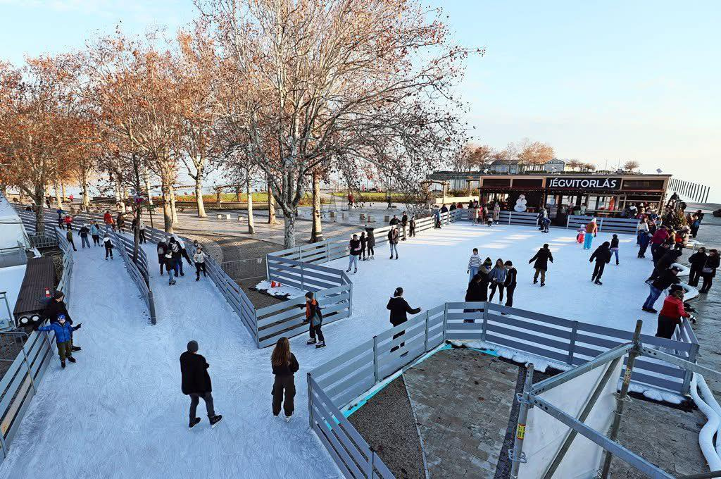 599321829 1451981660265877 2994672618980401583 n