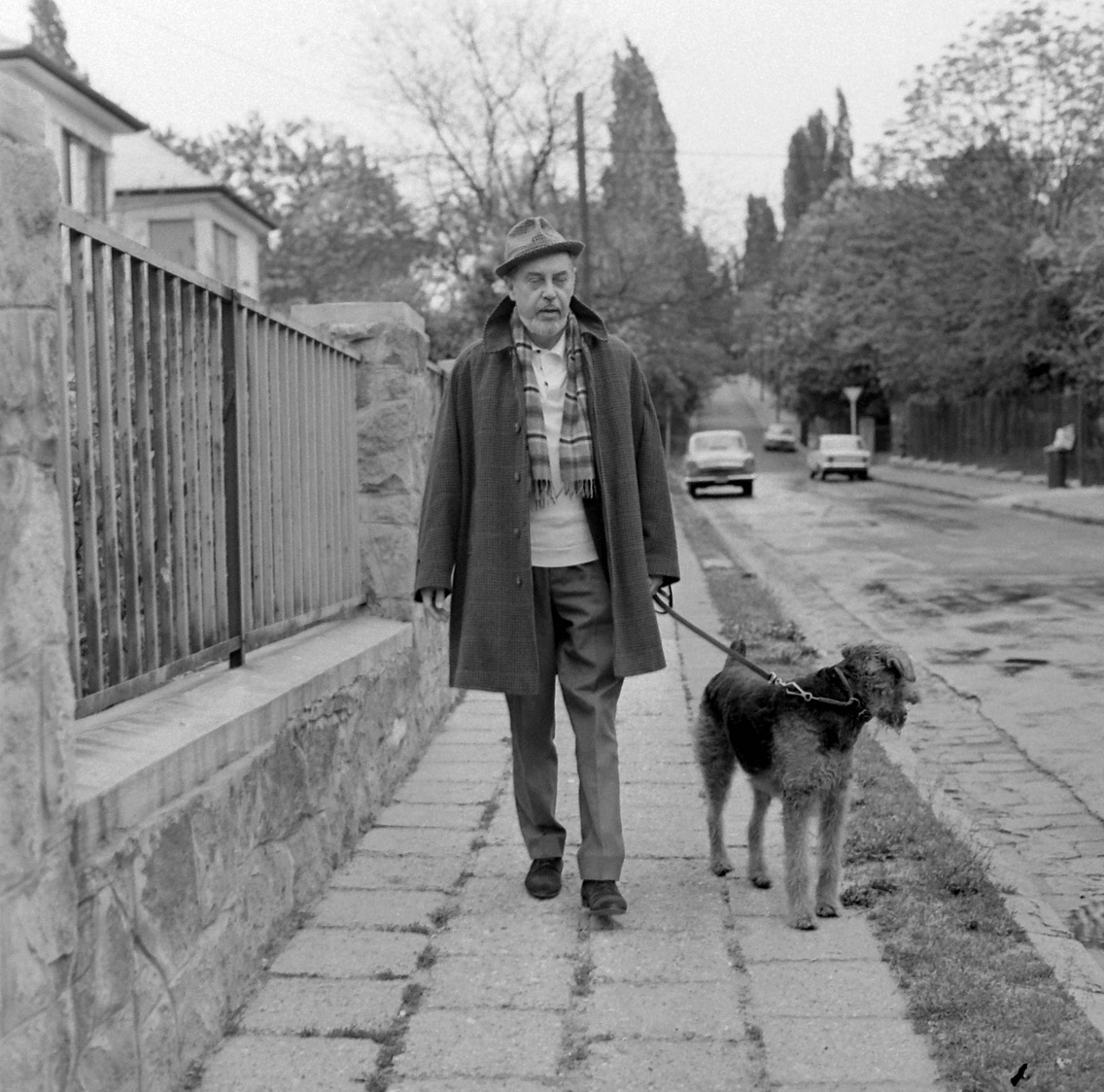 Várkonyi Zoltán kutyát sétáltat a Nagyajtai utcában (1972)