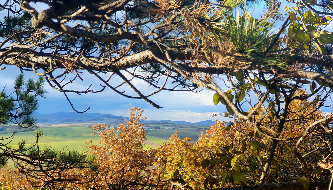 zsámbék (3)
