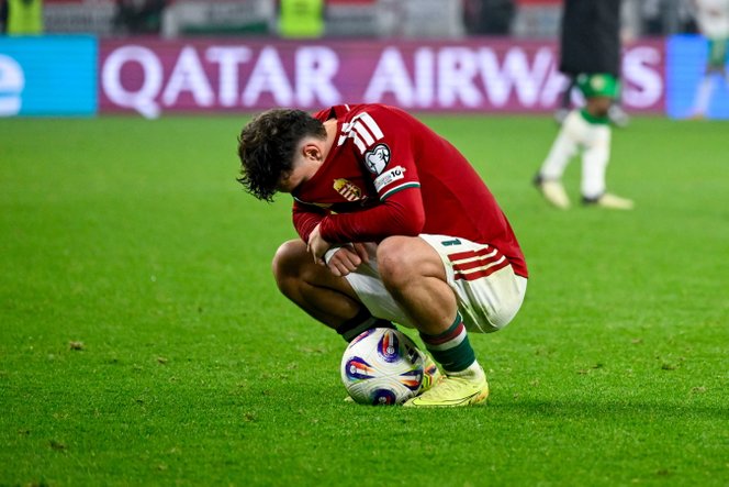 Vig György: Se diktátor, se elnyomás, csak az unalmas szabad sajtó, meg a&nbsp;pontos, önkéntes adóbevallás