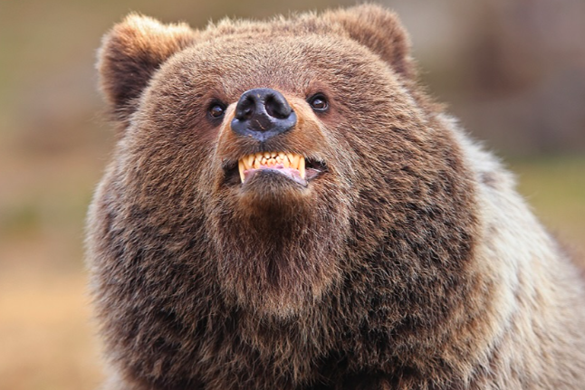 Képernyőfotó 2025-12-30 - 16.34.54.png