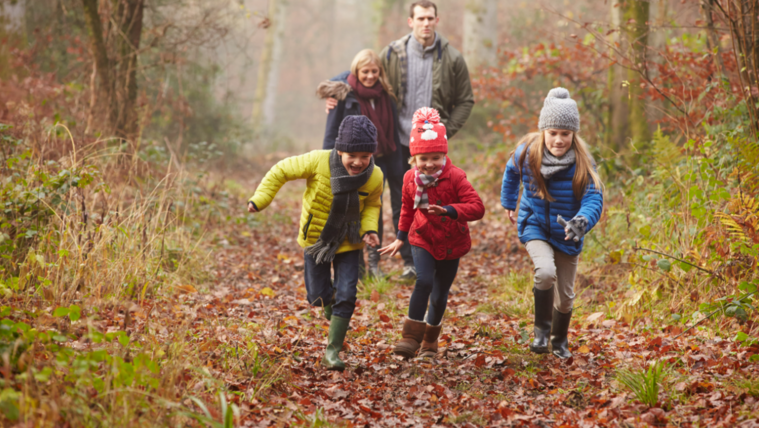 Adóváltozások, adókedvezmények, új pénzügyi szabályok 2026-ban
