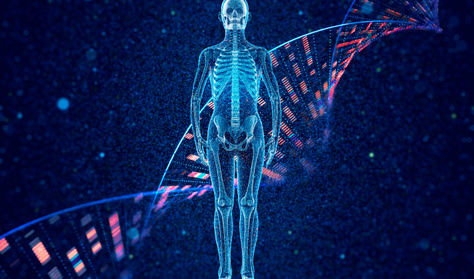 Igaz-hamis kvíz biológiából: a 10 pont kötelező