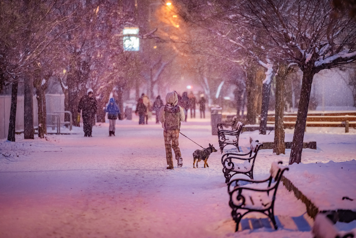 Hó Újpest 260106 Szabó Gábor 002