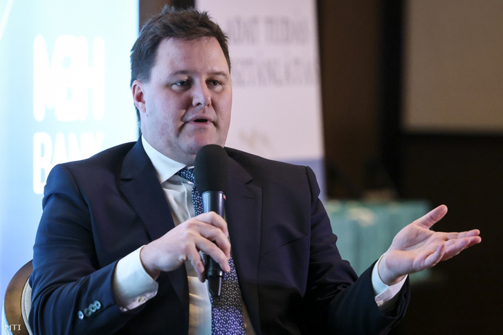 Lóga Máté 2025. február 28-án