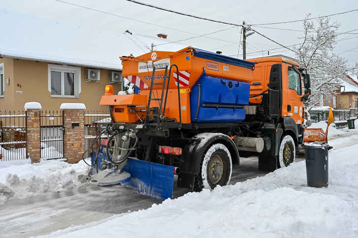 Hókotró Budapesten