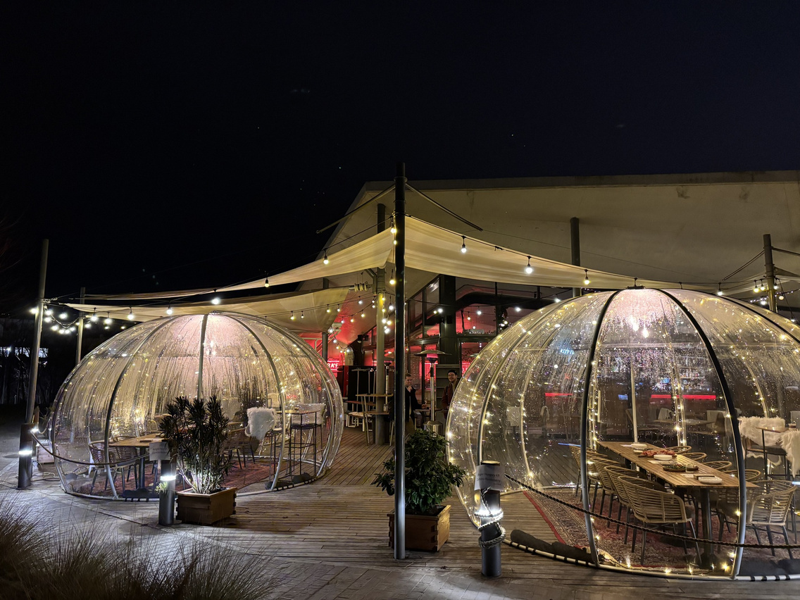 Zsiráf Buda Facebook