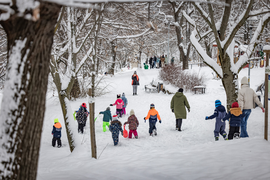 Hó Budapest 260107 Szabó Gábor 061