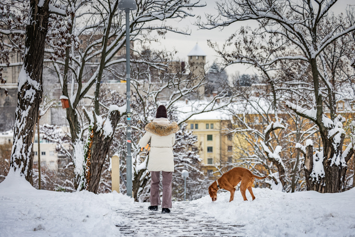 Hó Budapest 260107 Szabó Gábor 062