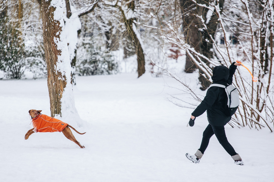 havazas 2026 260107 majorkata-52