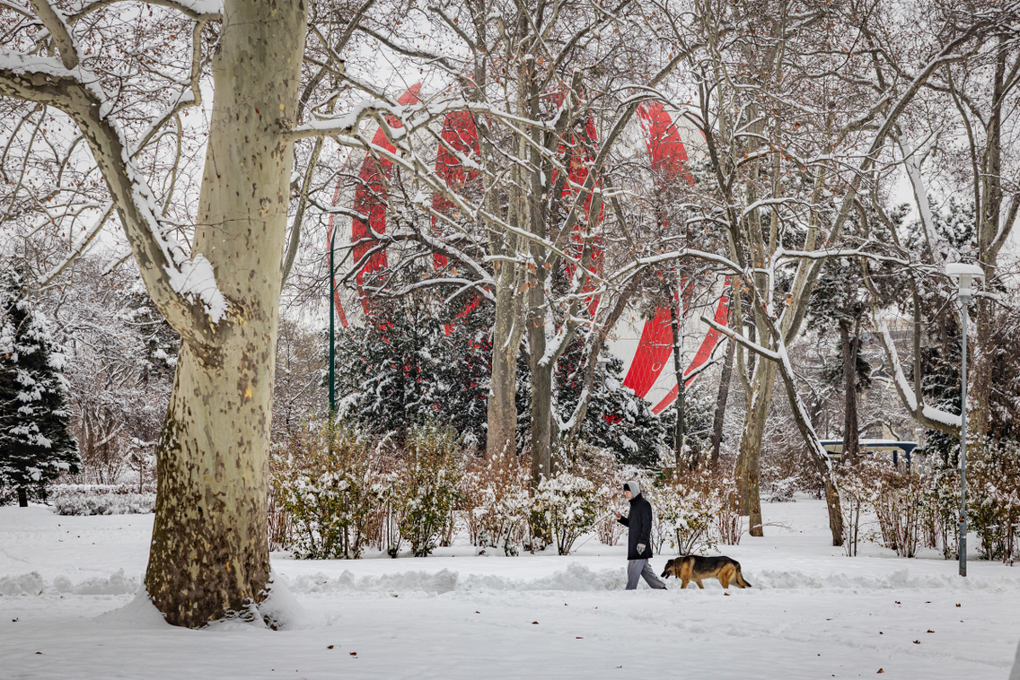 Hó Budapest 260107 Szabó Gábor 121