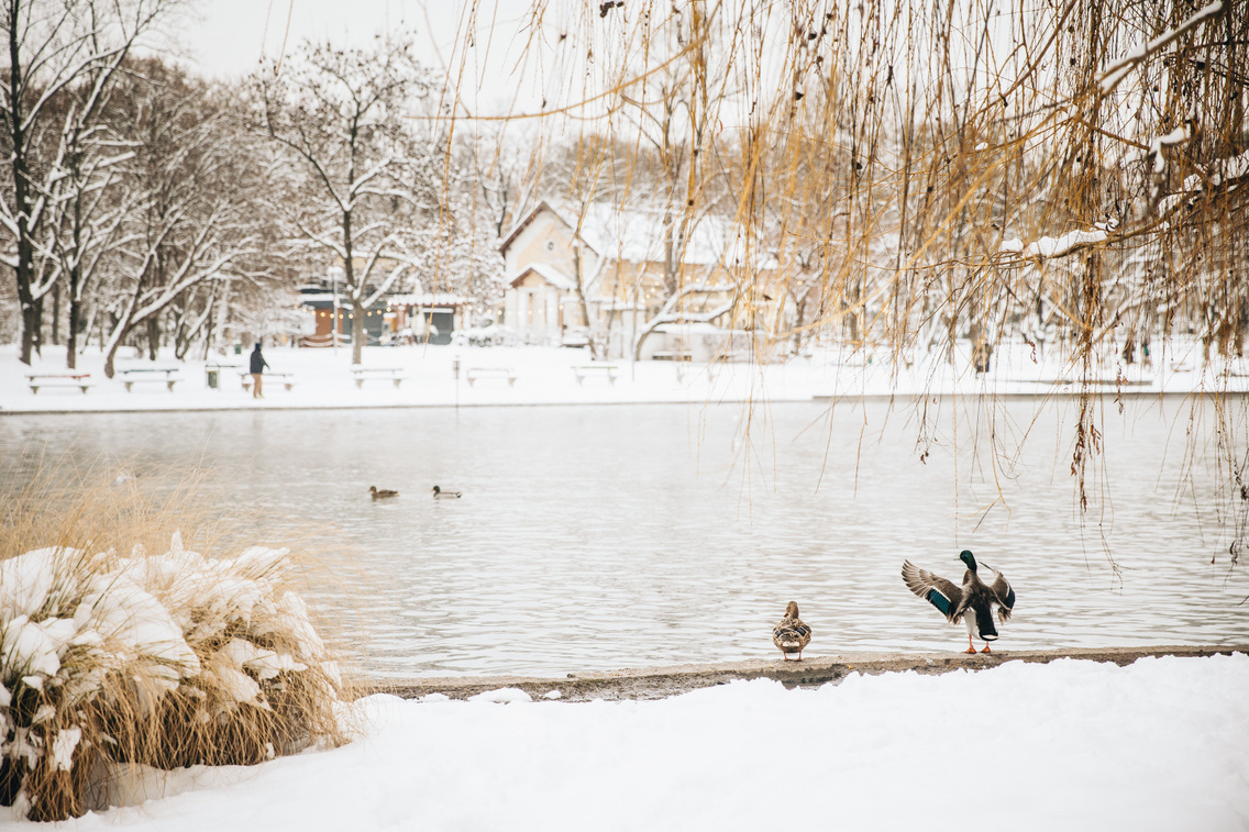 havazas 2026 260107 majorkata-35