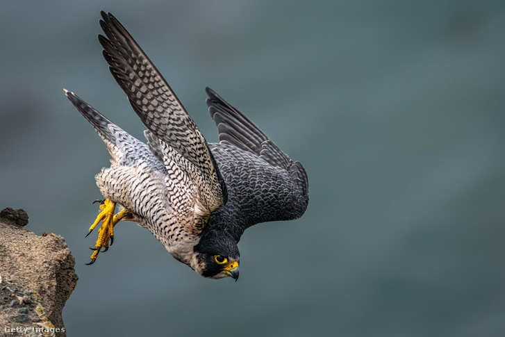 GettyImages-1280566603