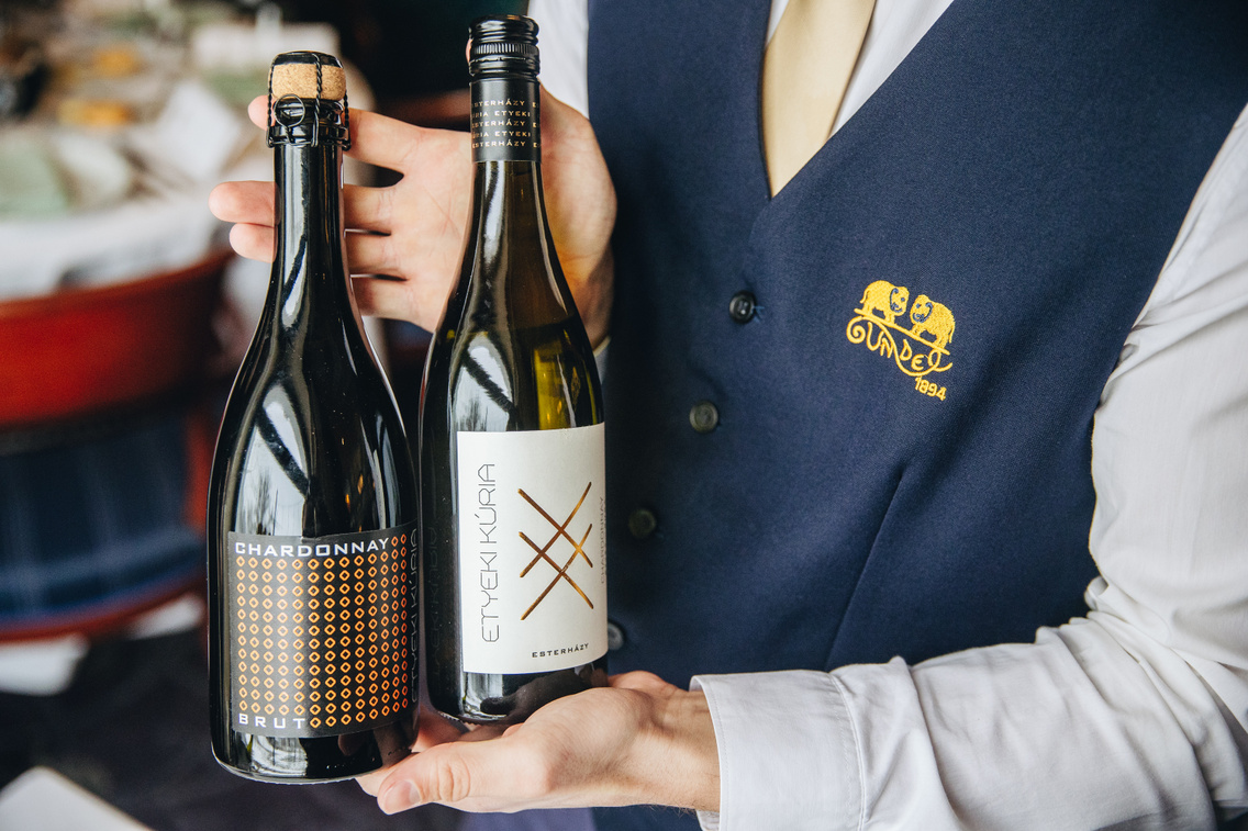 Az Egyeki Kúria különleges tételei