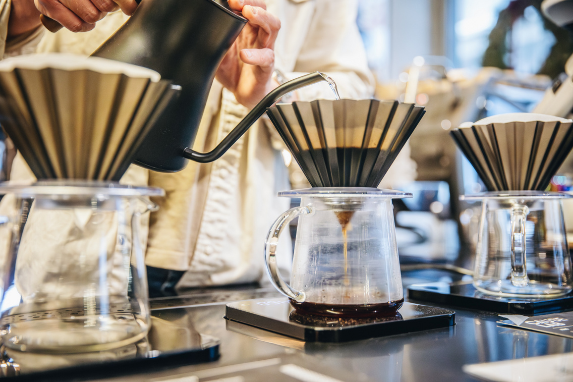 cause lab 260109 majorkata-11