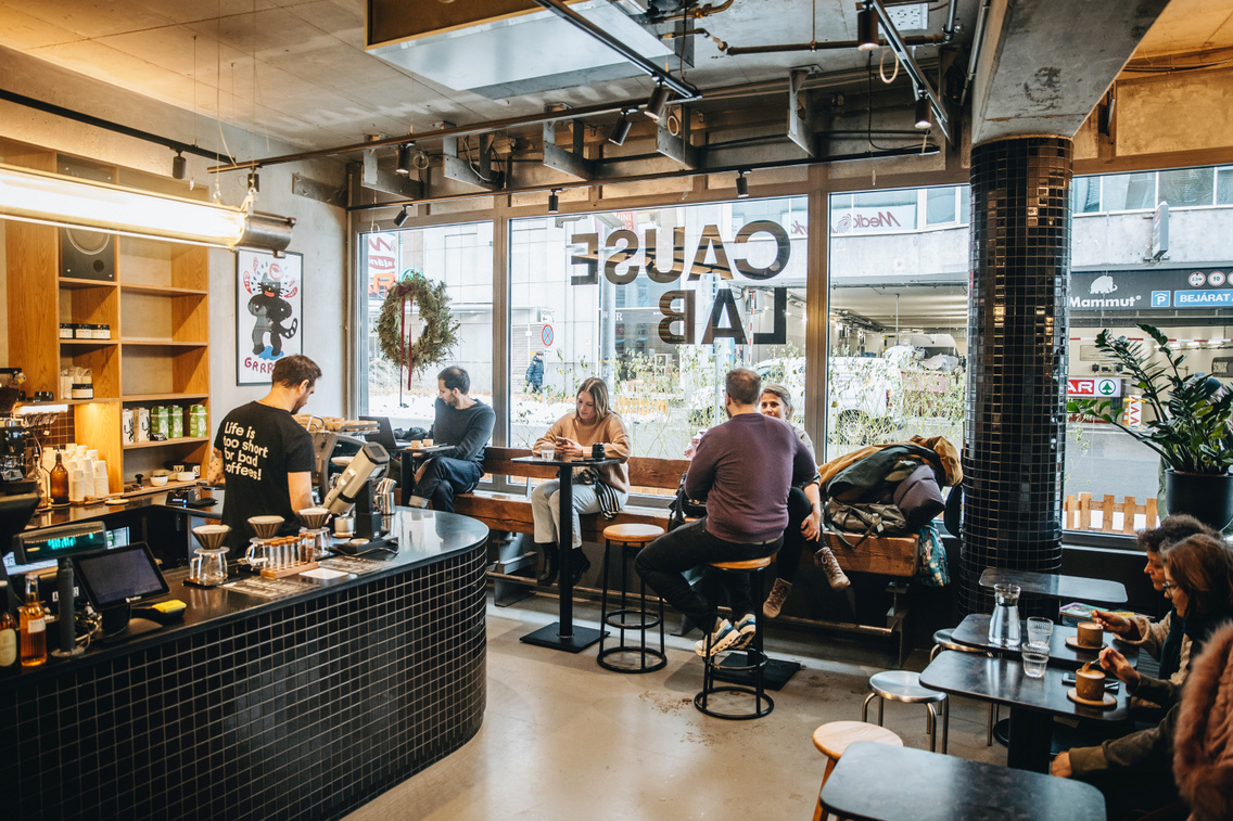 cause lab 260109 majorkata-32