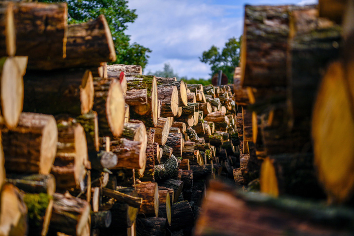 24d44c89-5065-43cc-bcd6-ce4223aa4cee