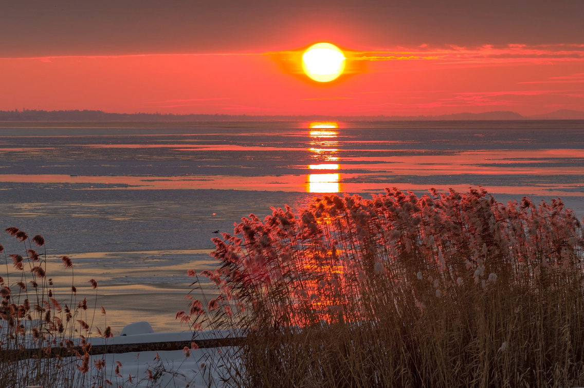 612403229 1493749026087543 3093224269513115764 n