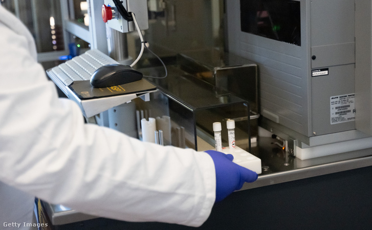 Székletminta-elemzés