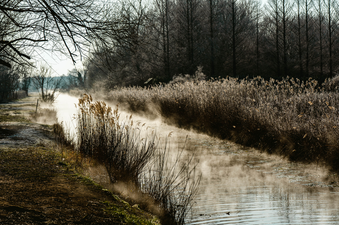 minden-rendben-forgatas-werk-heviz-korosi-tamas-87