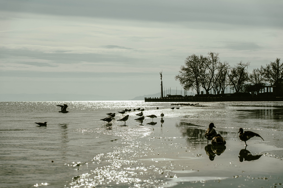 jeges-kepgaleria-2023-korosi-tamas-95