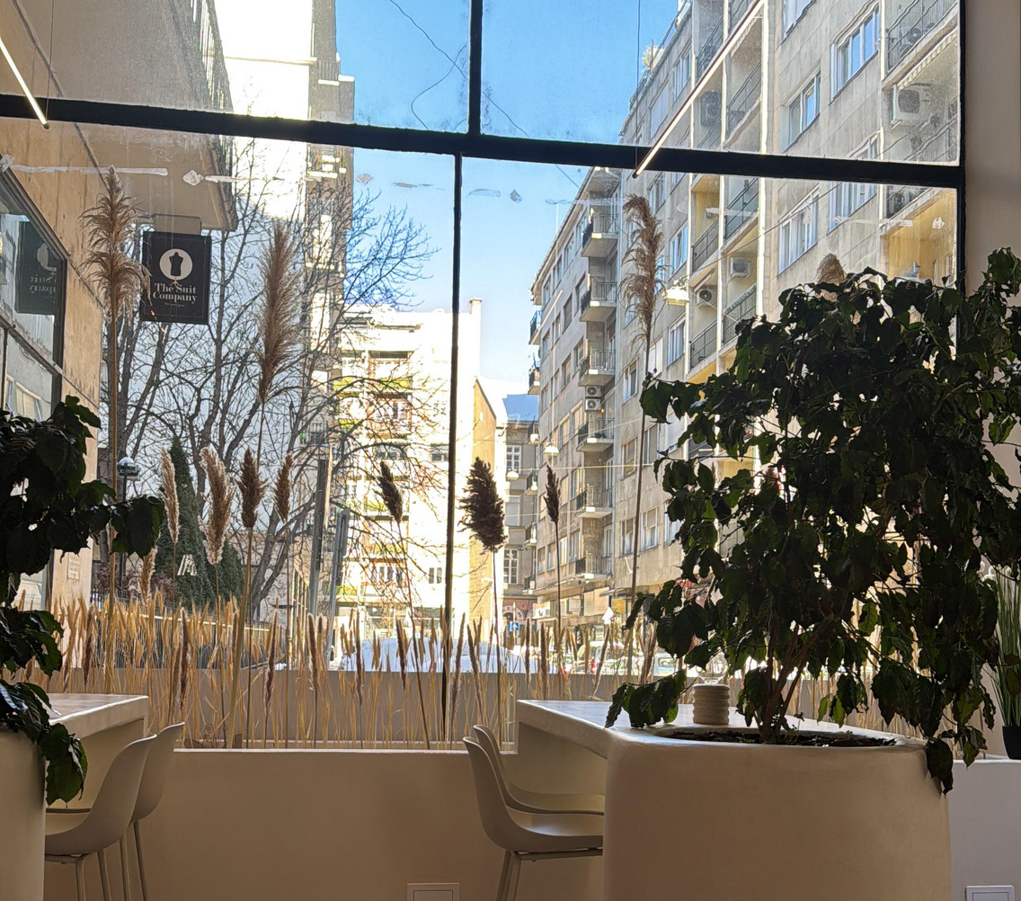 WhatsApp Image 2026-01-16 at 11.48.07