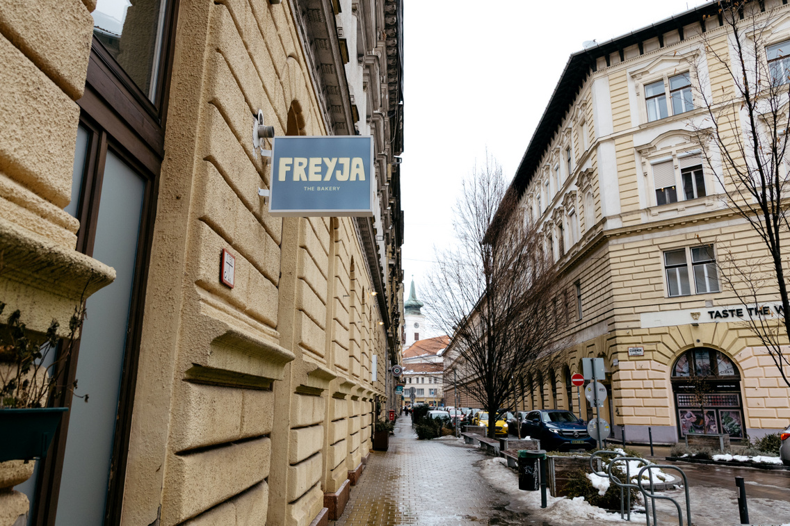 Freyja ForgacsZsuzsi 20260117-2