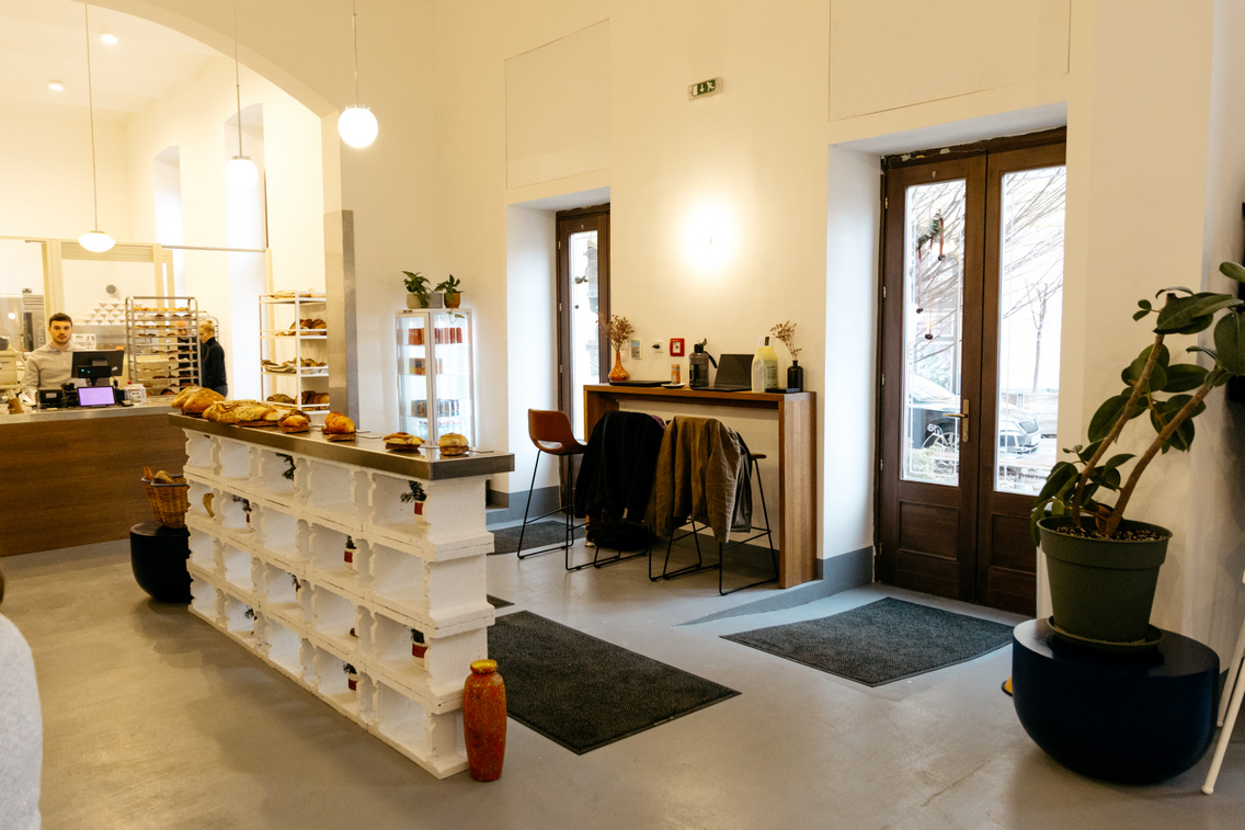 Freyja ForgacsZsuzsi 20260117-7