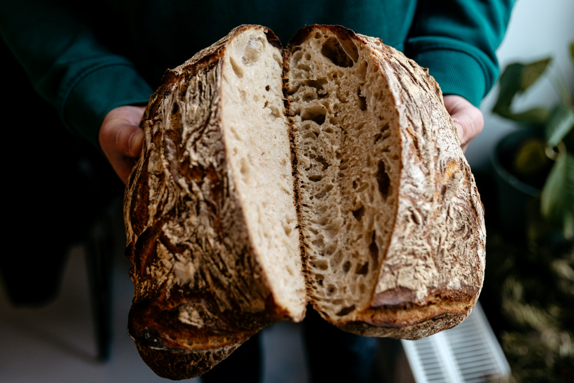 Freyja ForgacsZsuzsi 20260117-56