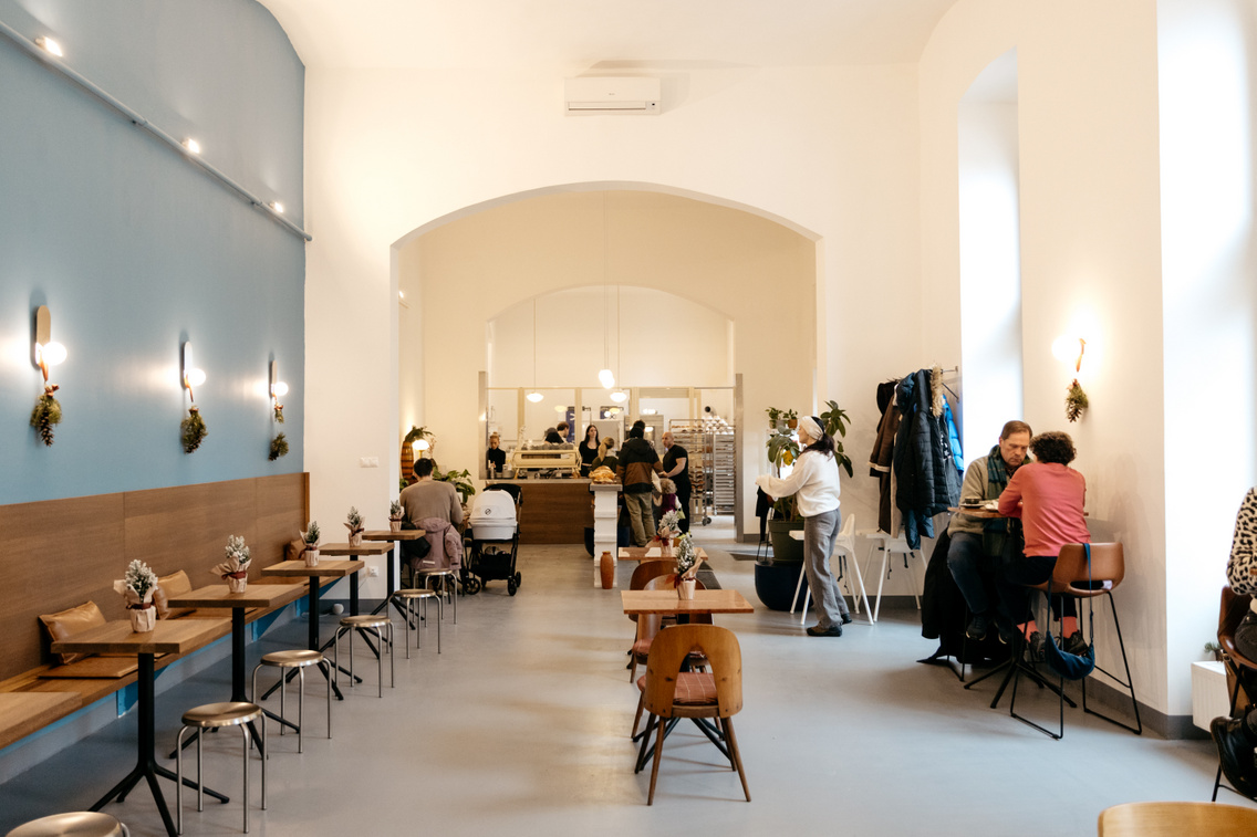 Freyja ForgacsZsuzsi 20260117-12