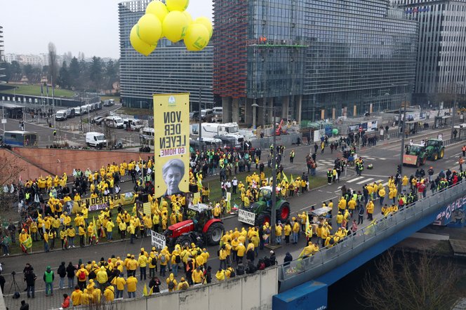 Magyar Péter szóváltásba keveredett egy tüntetővel Strasbourgban