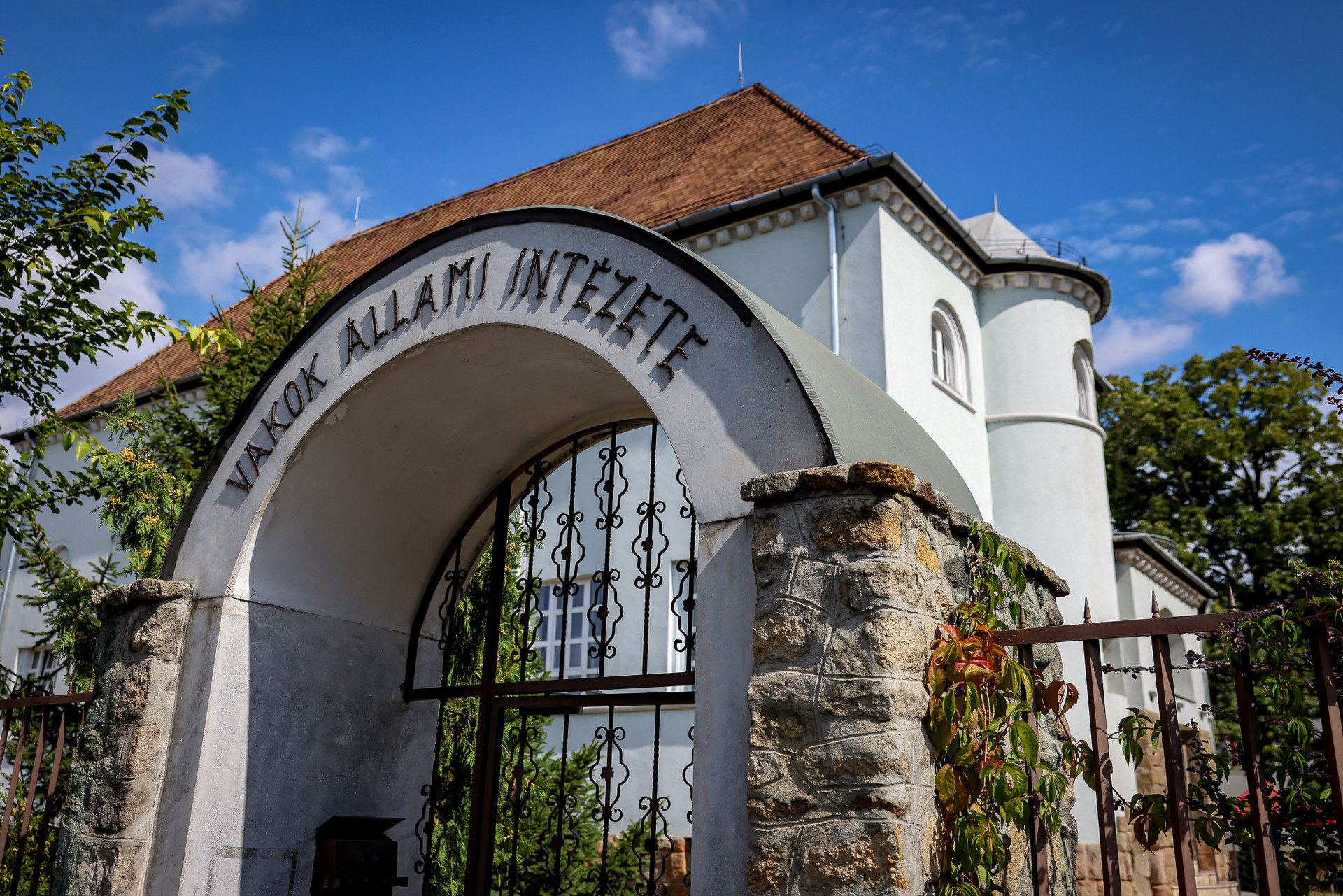 vakok-intezete-210831-szabo-gabor-010