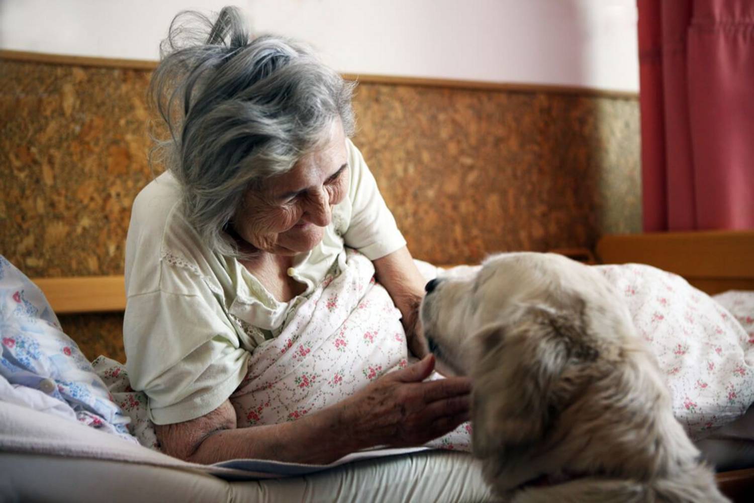 hospice