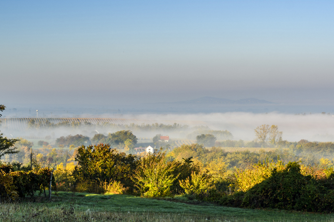 pocz-pinceszet-balatonlelle-kishegy korosi-tamas 20171020 2